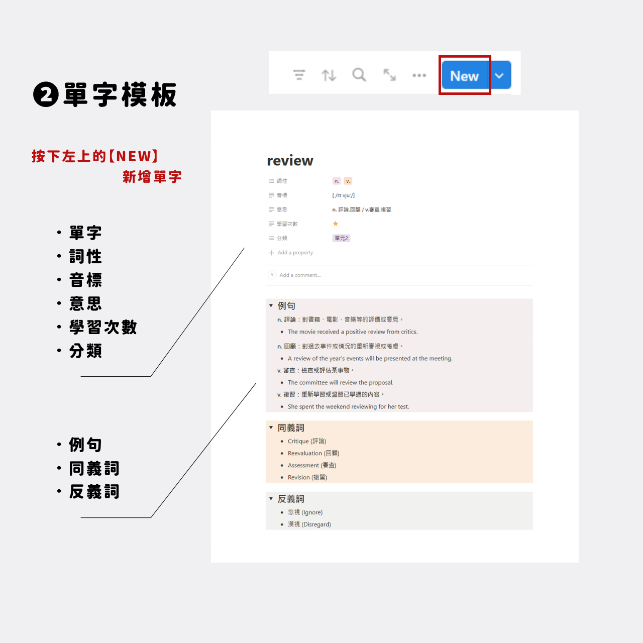 單字詞彙庫｜Notion模板 3