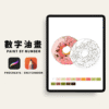 🍩15色甜甜圈數字油畫｜數字油畫電子版｜零基礎可完成｜Procreate｜Sketchbook｜PNG格式